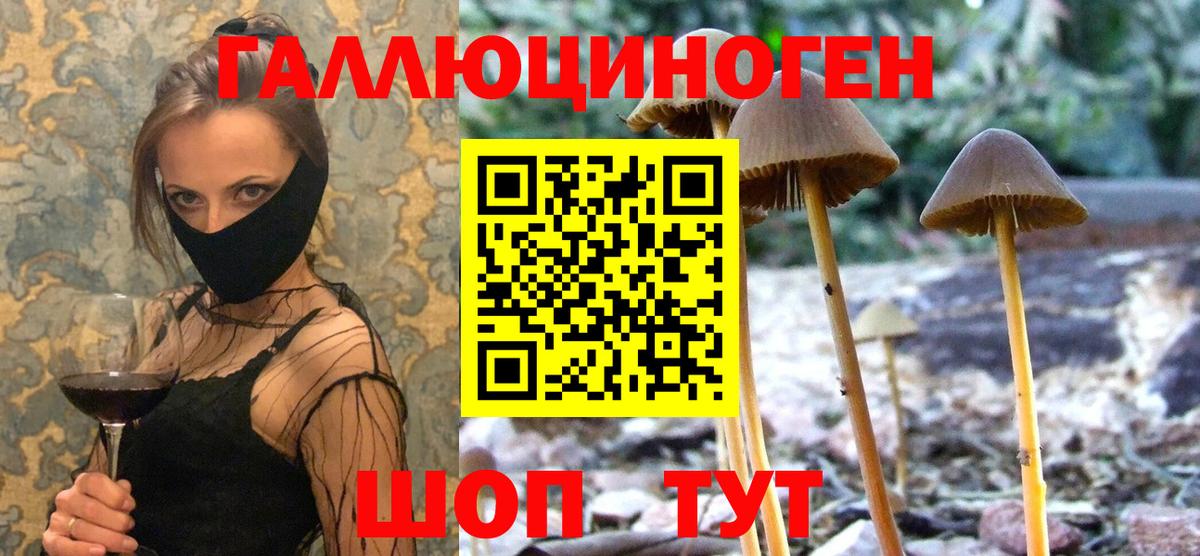 Псилоцибиновые грибы MAGIC MUSHROOMS Дагестанские Огни